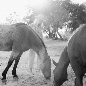 Meet your Posher, Scout